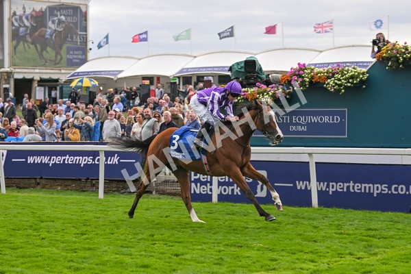 210825-Race 4-Minnie Hauk-4719 - Race 4 3.35pm Pertemps Network Yorkshire Oaks