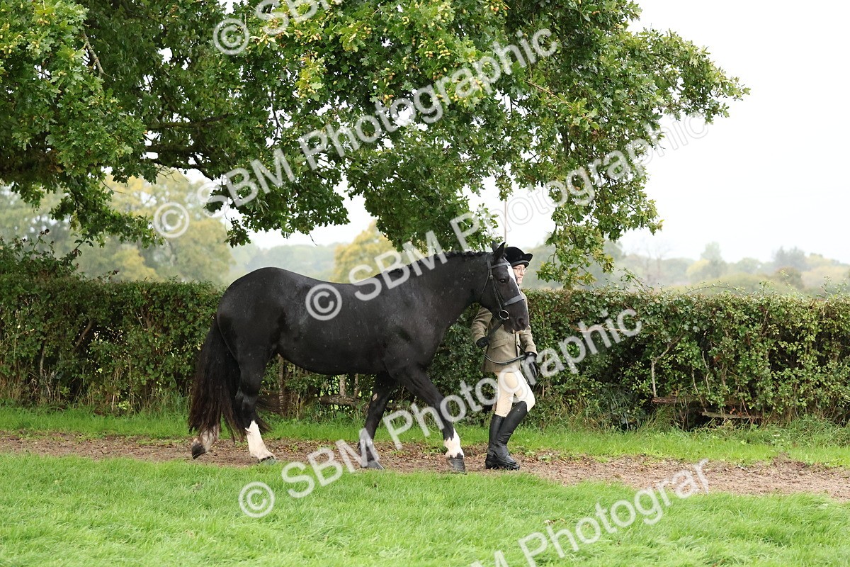 SBM_35234 - S10 - Best In Hand Horse & Pony