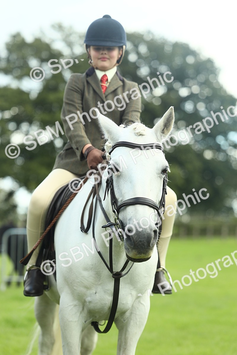 SBM_42224 - S29 - Novice & Newcomers Working Hunter Pony