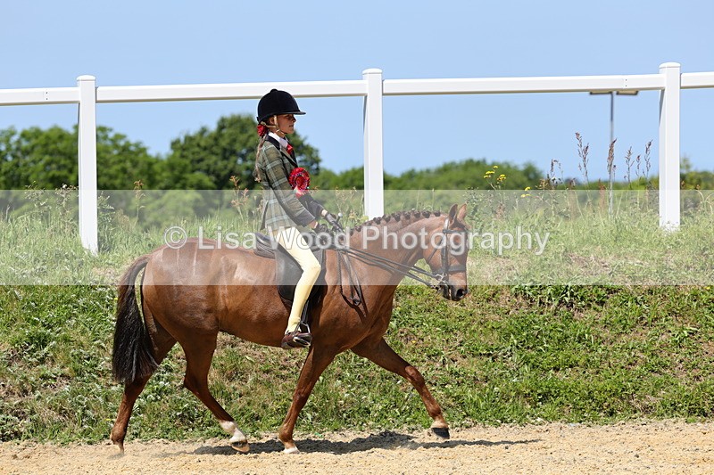1X9A1308 - Ring Two Championship