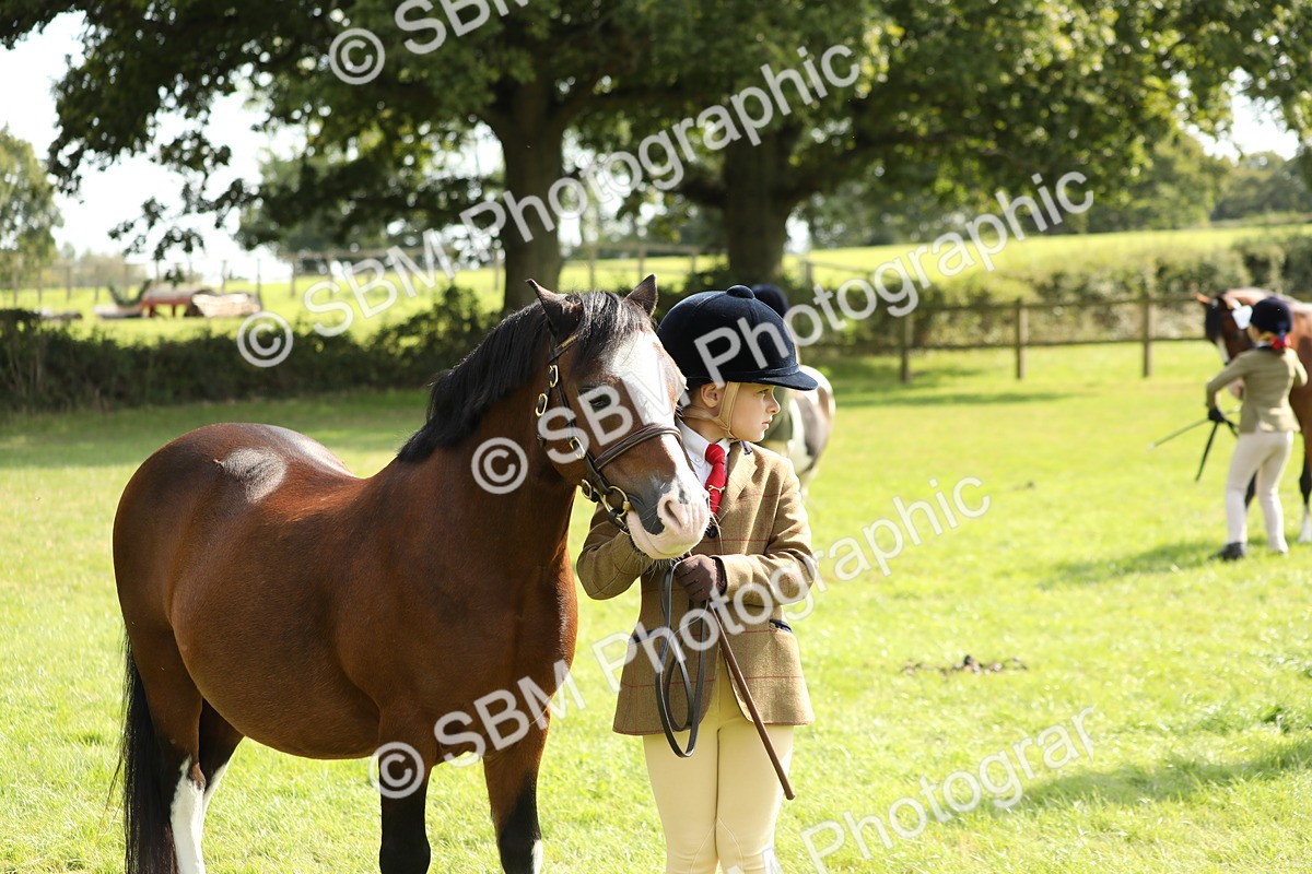 SBM_67766 - S39 - Junior Handler 8  Years & Under