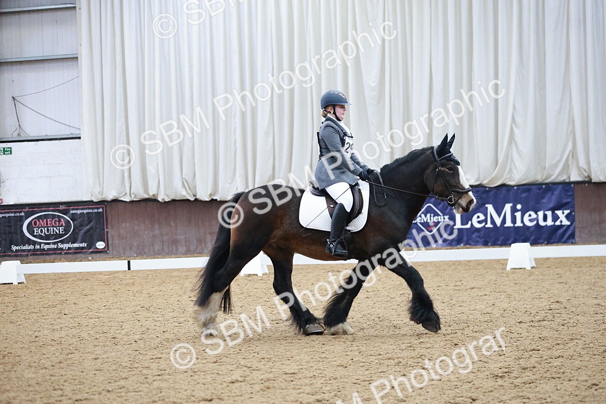 SBM_003842 - Class 2 - Novice 2020