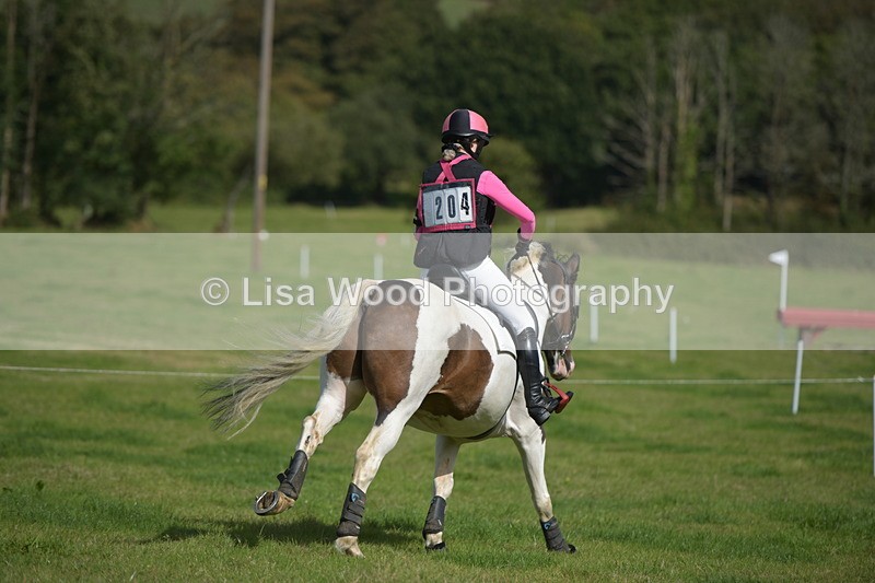 RAY_8639 - Class 2: Trekenning Open: Wall