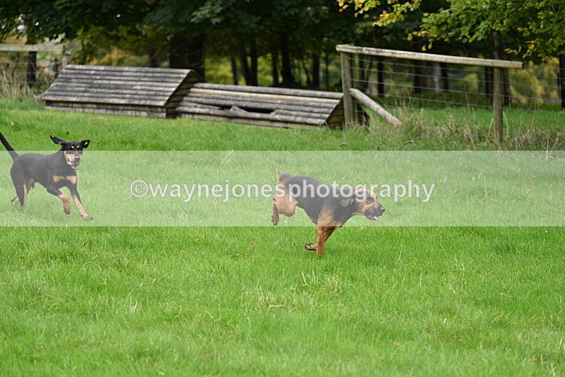 WJ7_4377 - Camera 1 Line 3