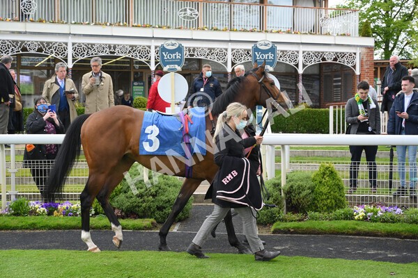 yr22052021r1-8 - Race 1 2.05pm William Hill Pick Your Places Stakes