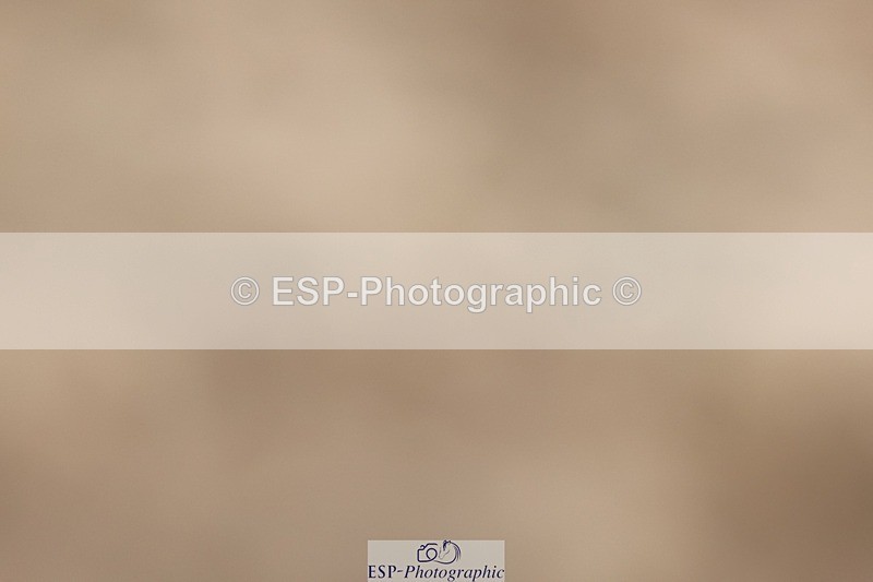 250622-121709-14839 - Cls 50 Elementary 5 Start to 13.10