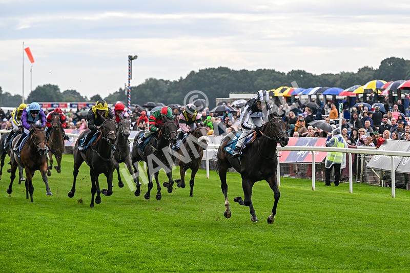 060926-Race 1-Mezzo Forte-6827 - Race 1 1.30pm Irish Thoroughbred Marketing 'Confined' EBF Maiden Stakes