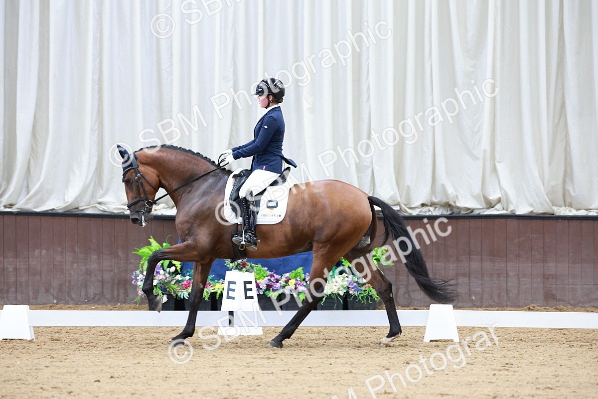 SBM_017813 - Class 15 - FEI Junior
