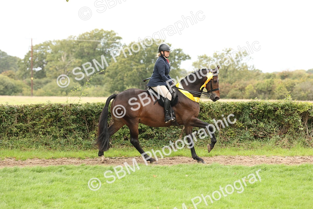 SBM_66416 - S66 - Hunter Ridden
