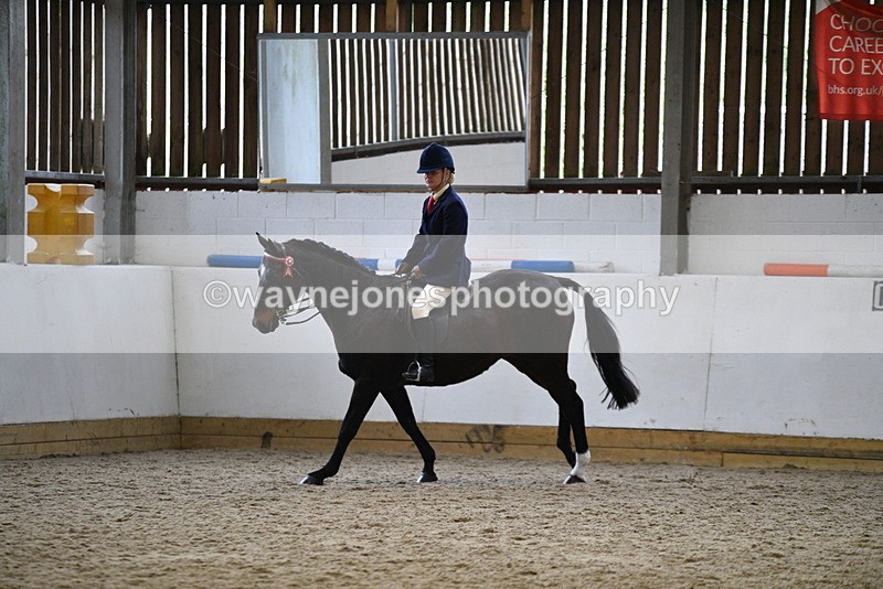 WJ5_7849 - Class 13 Ridden Part Breed