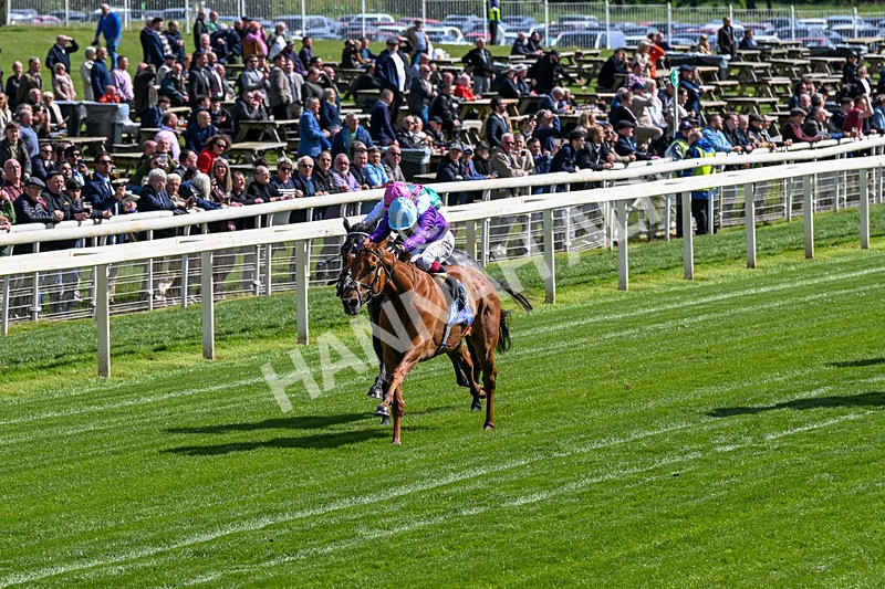 140526-Race 4-See The Fire-0188 - Race 4 3.30pm Al Basti Equiworld Dubai Middleton Fillies' Stakes