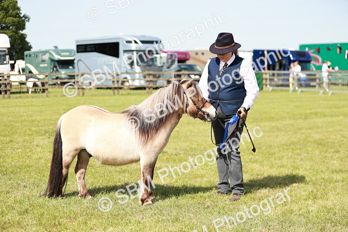 SBM_01790 - Class 14-23 - Mountain & Moorland In Hand Non Welsh