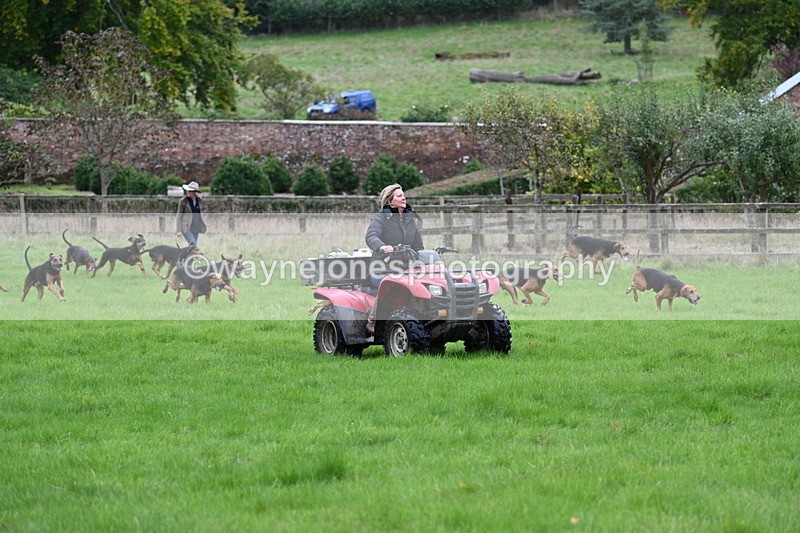 WJ7_4354 - Camera 1 Line 3