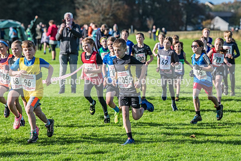 Cumbria XC-80 - Cumbria XC League Workington Saturday 26th October 2024