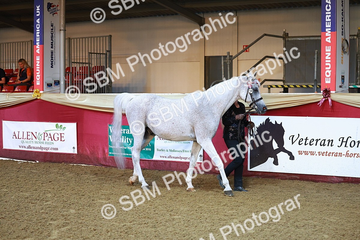 SBM_14670 - Class C - Novelty champ