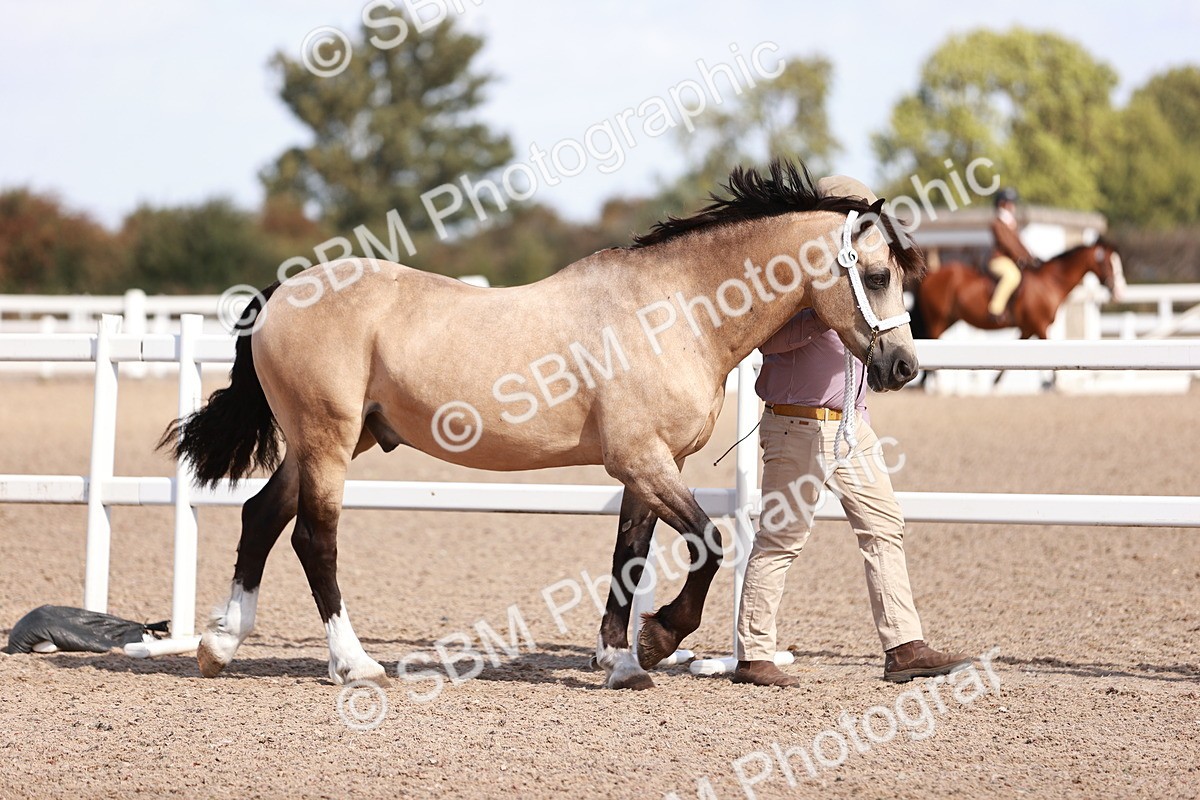 SBM_22944 - Class 707 - IH groom Helpers Class