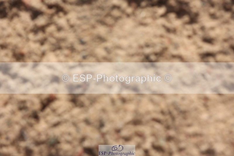 240629A-091943-02918 - Cls 16 British Novice and 80cm Open