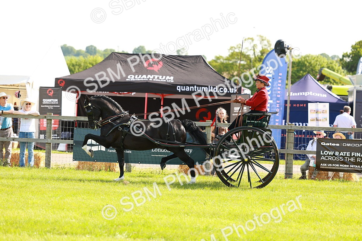 SBM_01290 - Class 2-4 - HOYS Private Driving