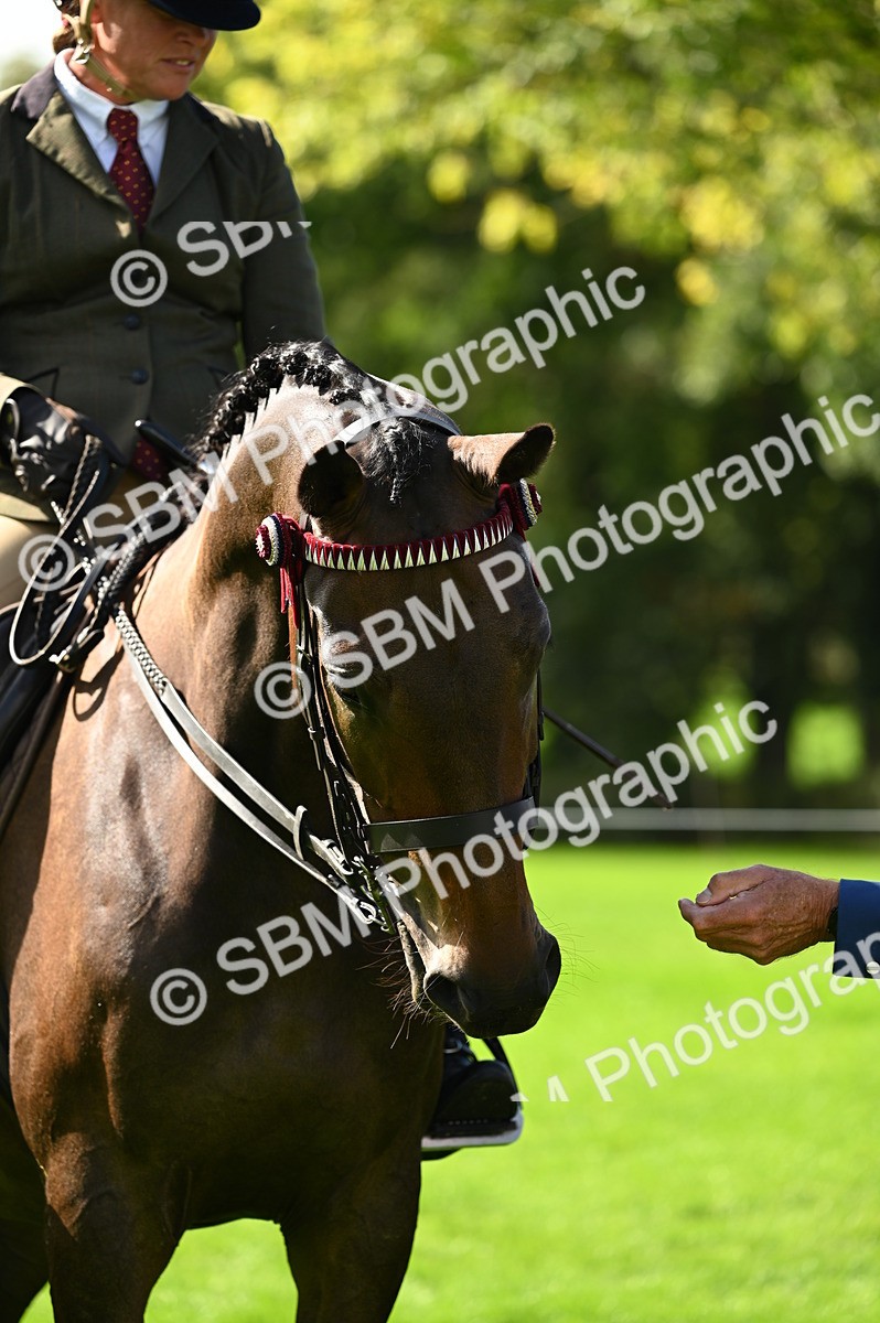 SBM_02101 - S2 - TSR Ridden Horse Showing