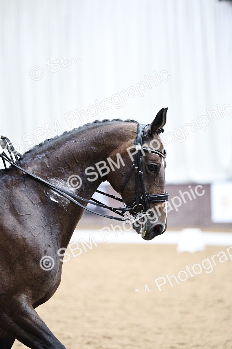 SBM_002115 - Class 10 - Medium 5