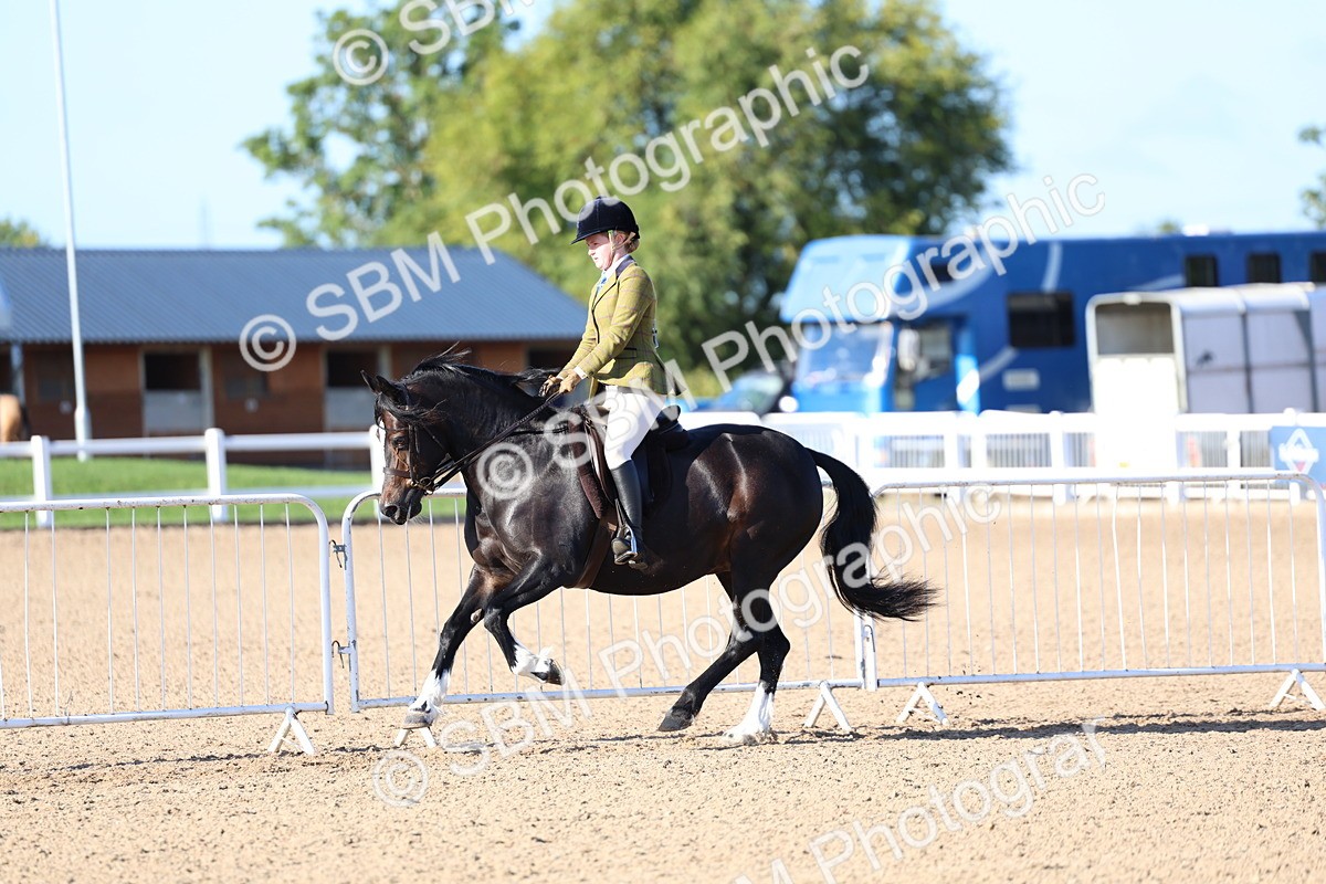 SBM_08794 - Class 302 - Ridden M&M - Large Breeds