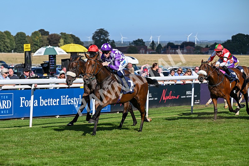 220926-Race 3-Call Me Tomorrow-3622 - Race 3 2.40pm Christmas Parties R Us Restricted Novice Stakes