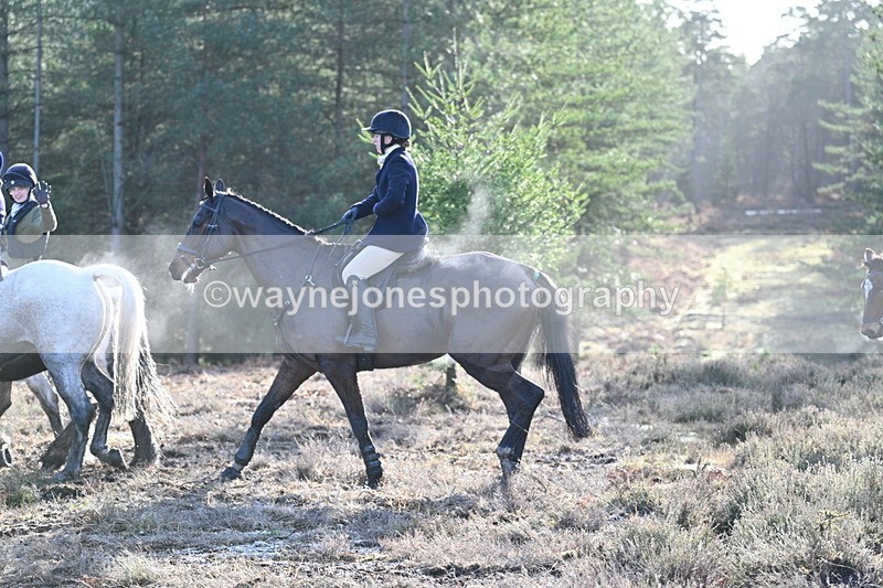 WJ7_7237 - Line 3 (no line 4 or 5)