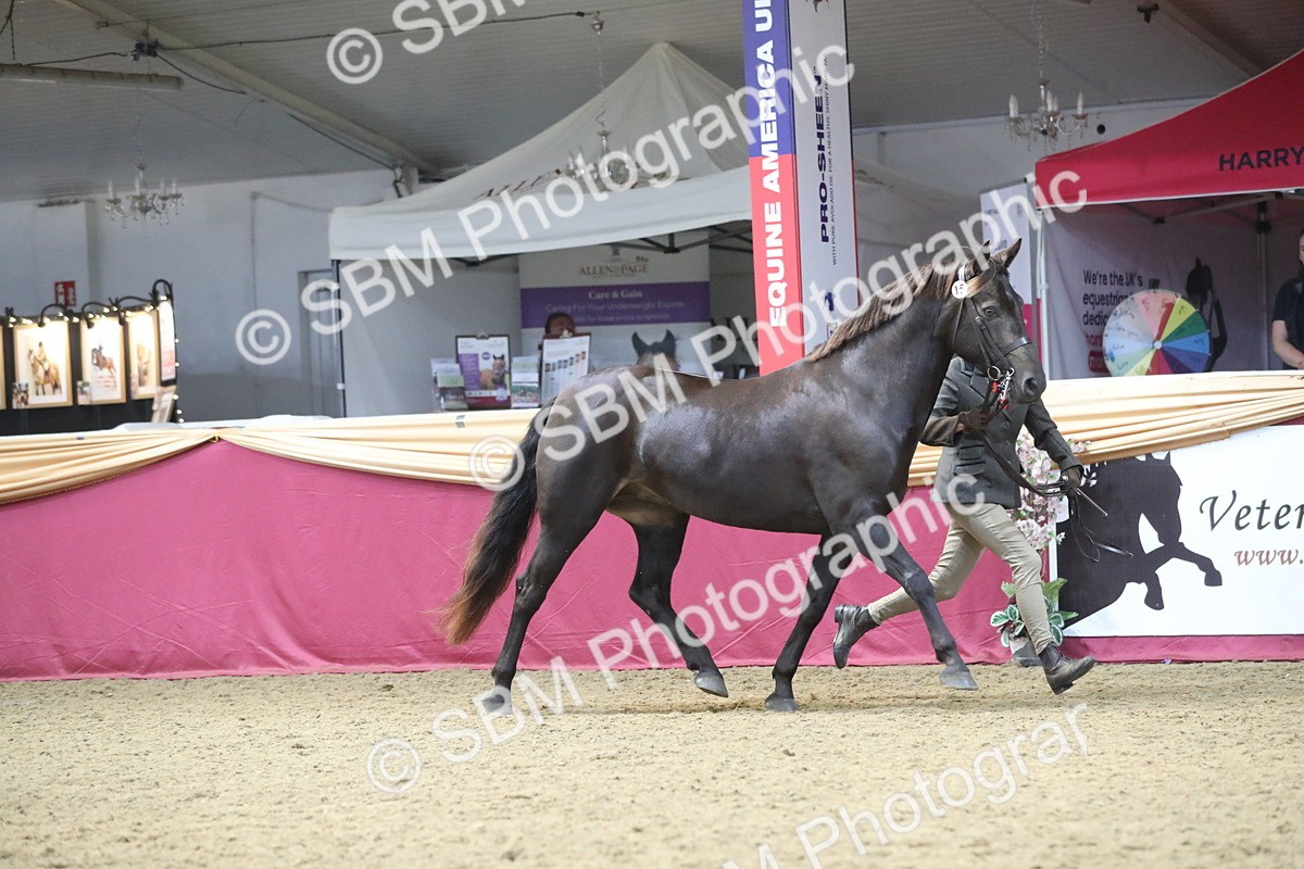 SBM_15155 - Class 501 M&M IH Supreme Final