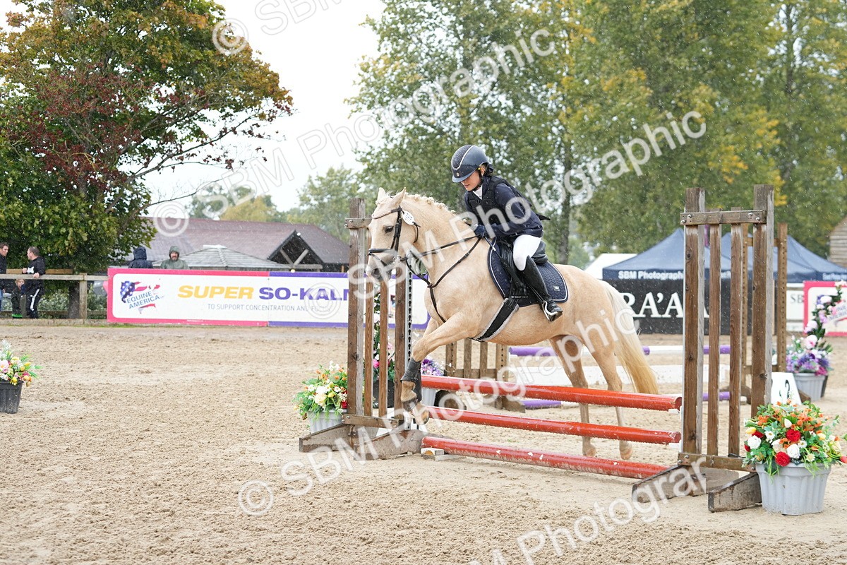 SBM_43322 - J7 - Junior Pony 60cm Championship
