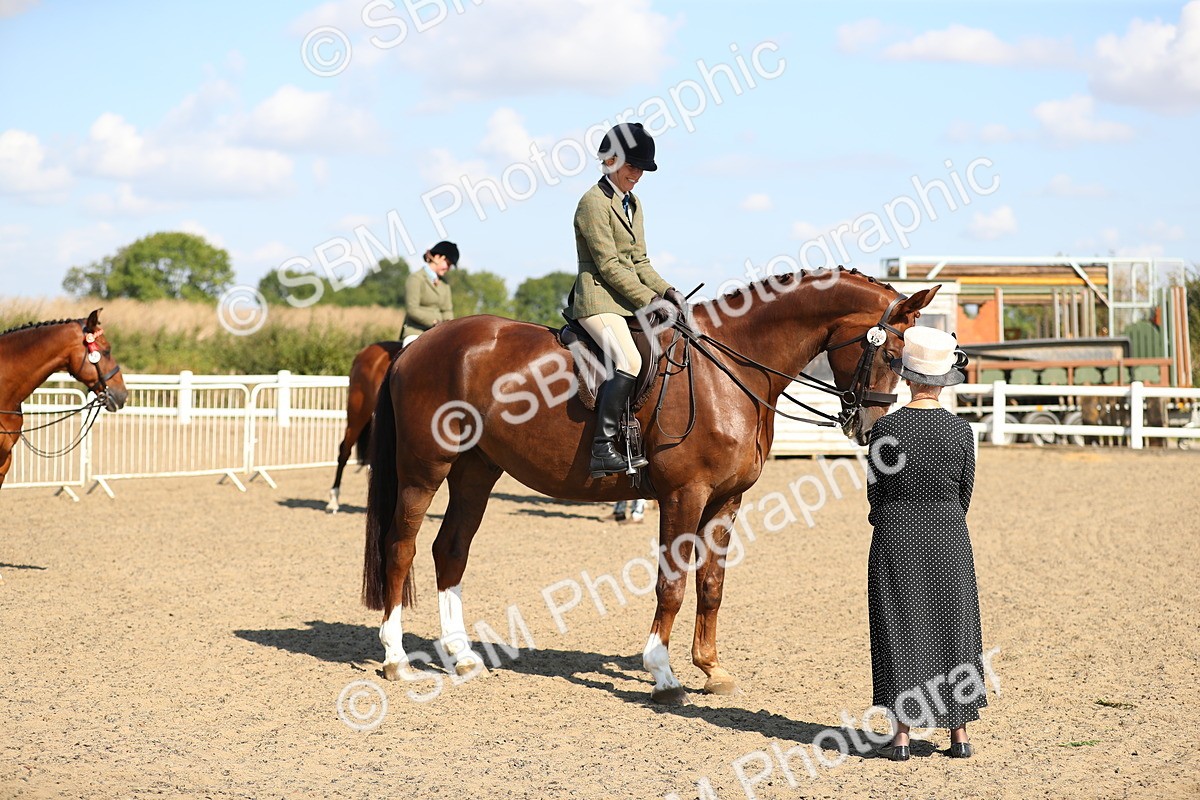 SBM_02332 - Class 43 Ridden Competition Horse/Pony