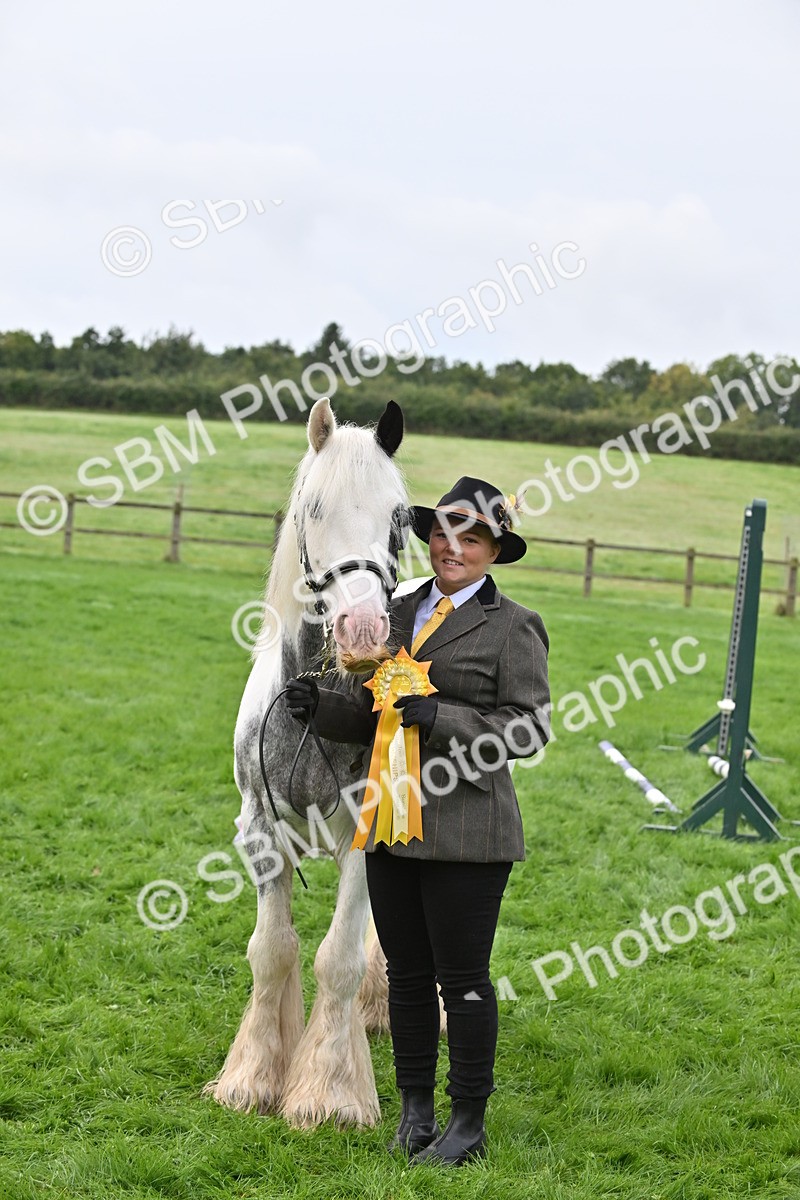 SBM_56987 - S45 - Coloured Pony In Hand