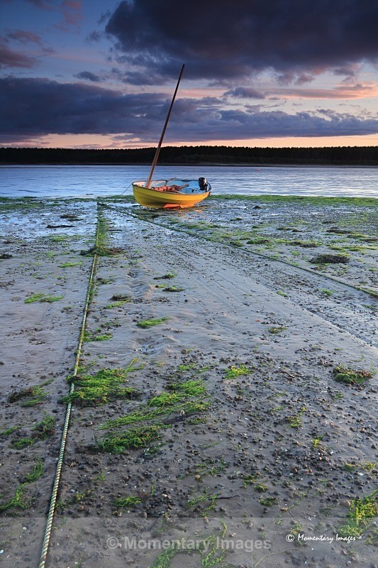 tide down - At the waters edge gallery