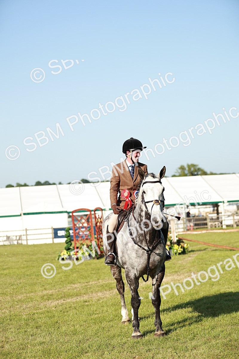 SBM_20121 - Class 115-116 - LIHS BSHA Rising Star Working Hunter & Show Horse