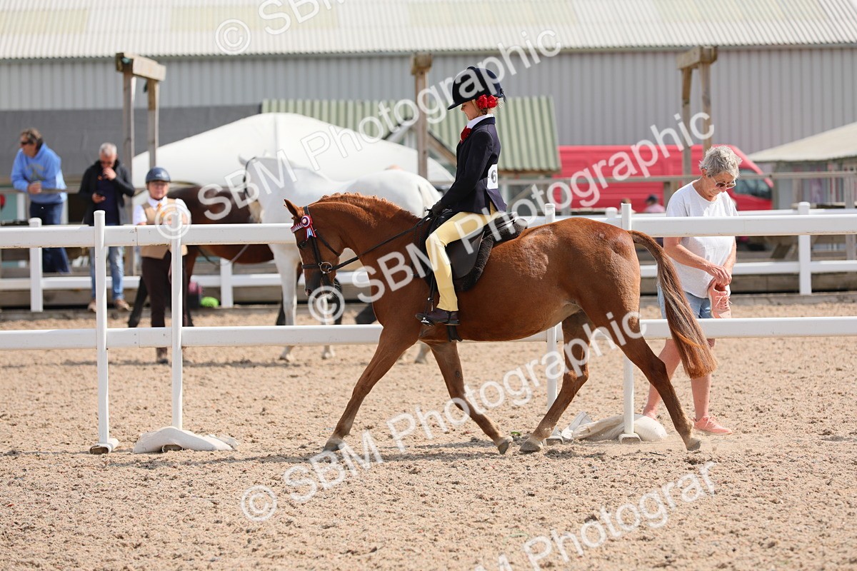 SBM_14758 - Class 310 First Ridden Pony