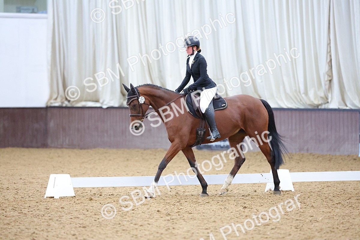 SBM_003880 - Novice