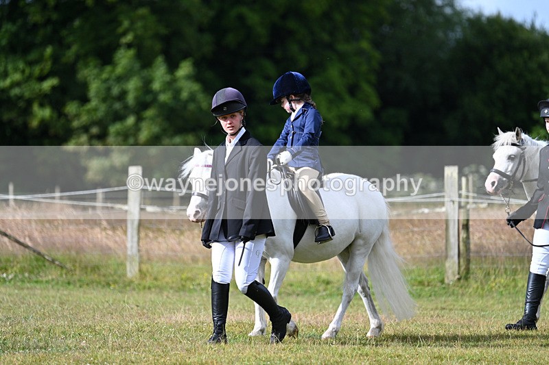 WJ7_4276 - Class 1 Lead Rein Pony
