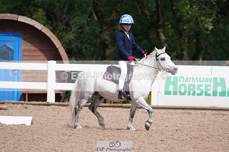 240809A-105726-00686 - Dressage Competition