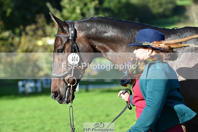 231022-110022-23660 - 404-ATLANTIC.COAST-Nicky.Ralph-TrotUp+SJ