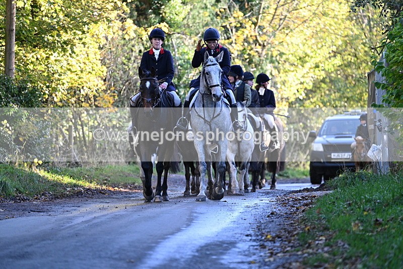 WJ7_8681 - Walk Home