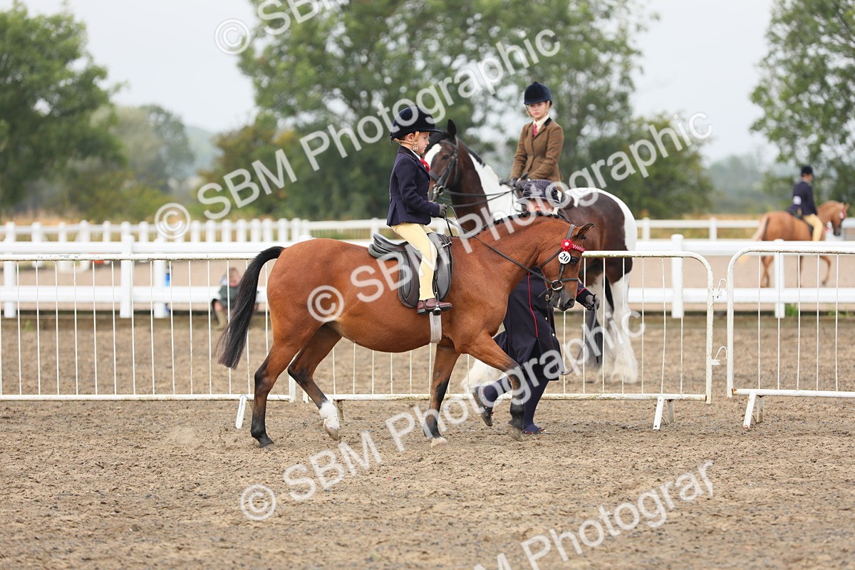 SBM_21710 - Class 806 - Young ridder 10 Yr & Under