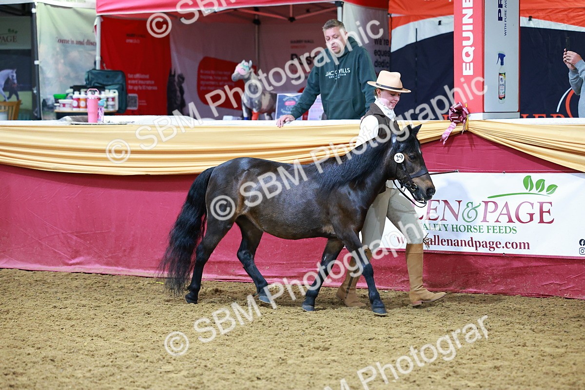 SBM_15991 - Class 901 - Sup Final - IH Diamond
