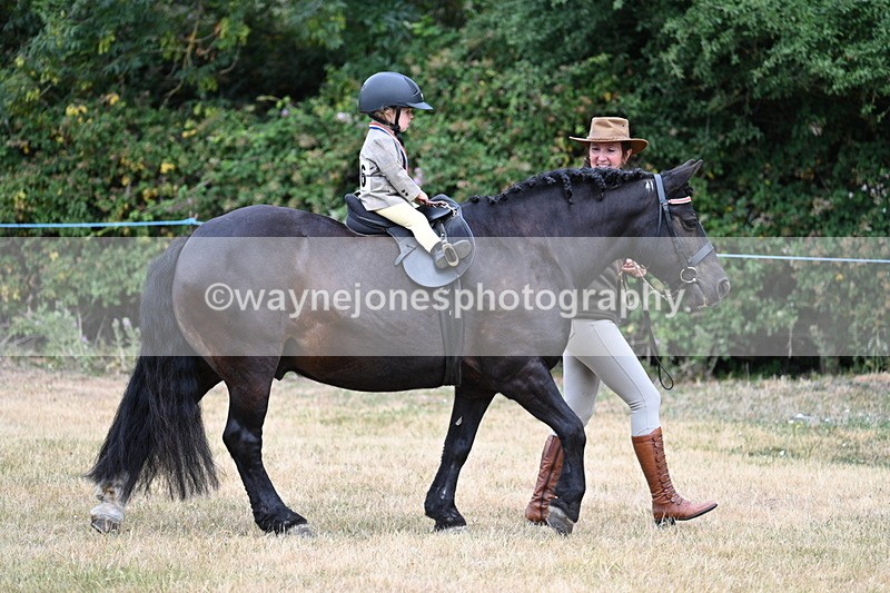 WJ7_9979 - Class 1 Lead Rein Pony