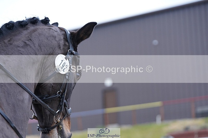 250214-112452-00372 - 192-Dominique.Mills-Sermaggio