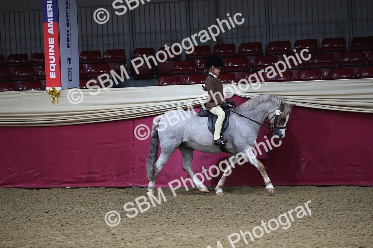 SBM_09383 - Class 101 Equitation (best rider), Junior