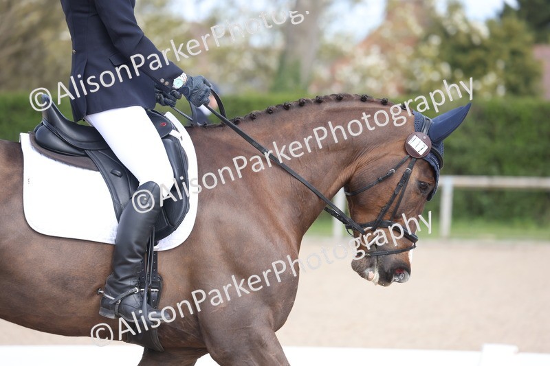 20260405-0277 - Class 3 - Novice 5