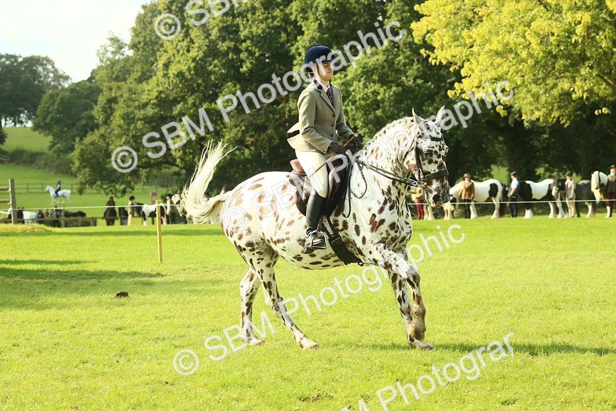 SBM_62409 - S62 - Foreign Breeds Ridden