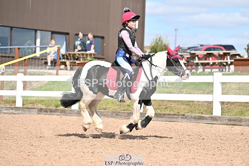 250821B-150258-00911 - Group D - Thomasina