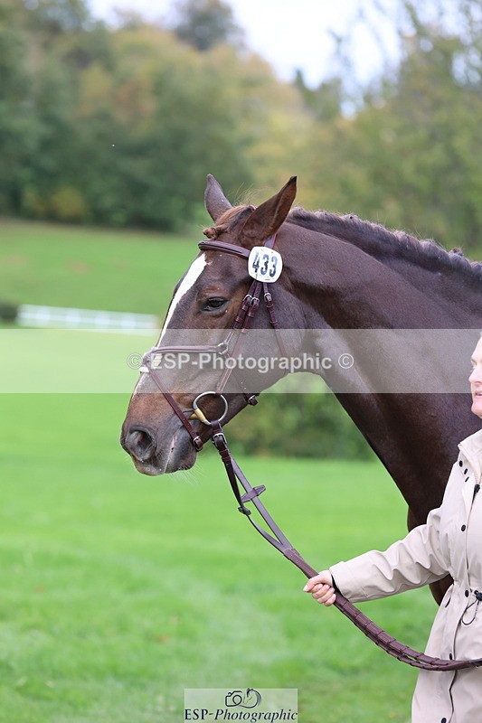 251026A-103608-23135 - F-433-Kathryn.Board