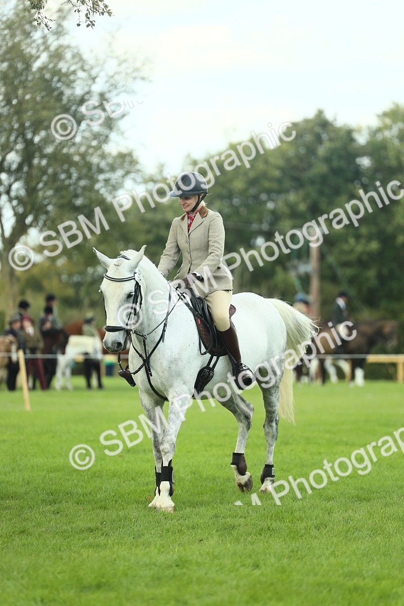 SBM_47973 - S32 - Novice & Newcomers Working Hunter