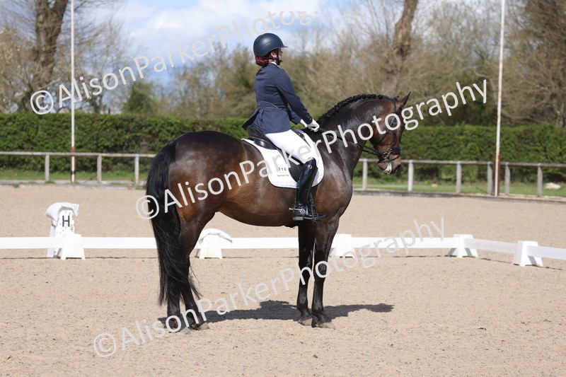 20260405-0638 - Class 7 - Medium 5